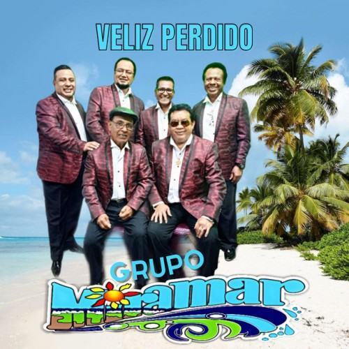 Veliz Perdido