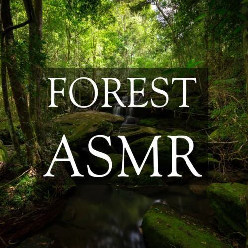 Forest ASMR for Relaxation and Deep Sleeping