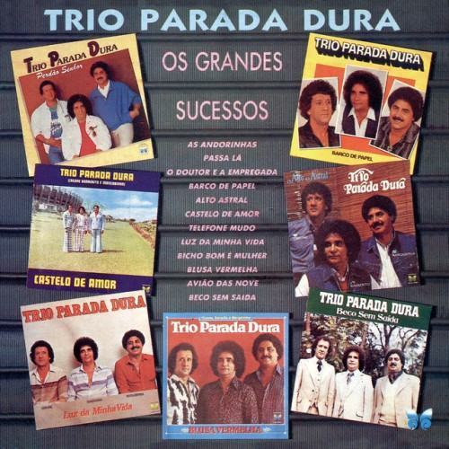 Os Grandes Sucessos