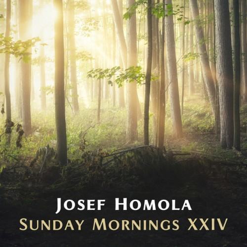 Sunday Mornings XXIV