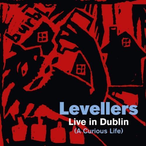 A Curious Life (Live In Dublin)
