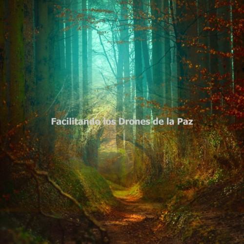 Facilitando los Drones de la Paz