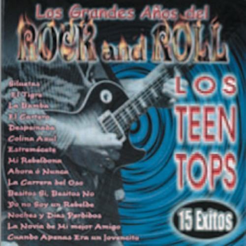 Los Grandes Años del Rock Vol. Ii