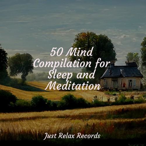 50 Mind Compilation for Sleep and Meditation