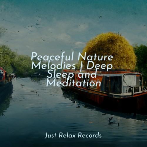 Peaceful Nature Melodies | Deep Sleep and Meditation