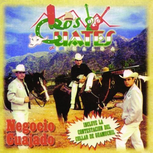 Negocio Cuajado