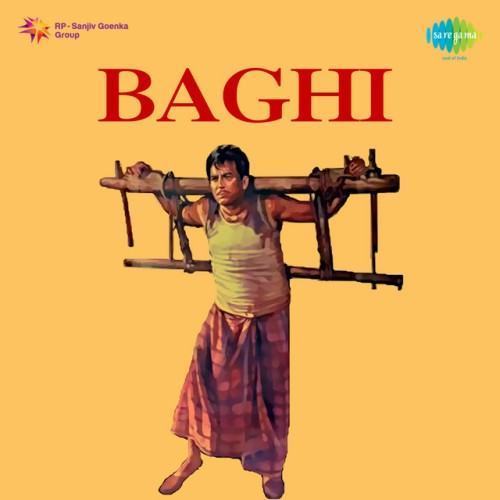 Baghi (Original Motion Picture Soundtrack)