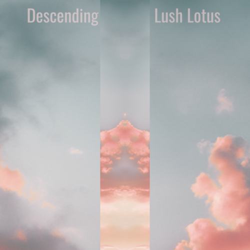 Lush Lotus