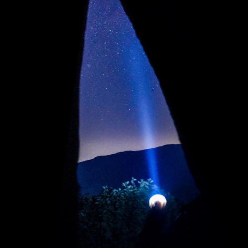 Silvender