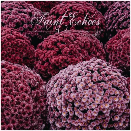 faint echoes