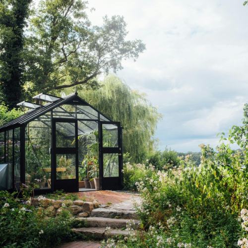Potting Shed Dreams