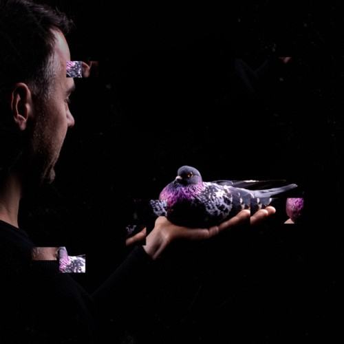 Stimming