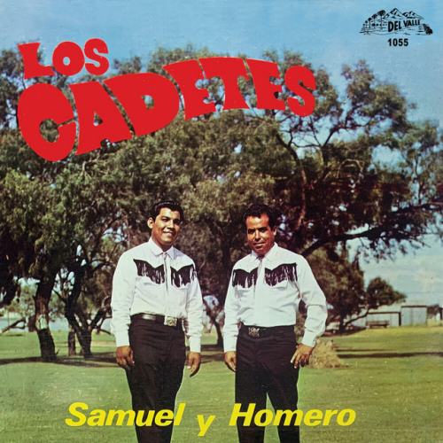 Samuel Y Homero