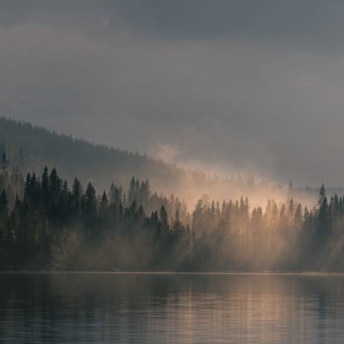 Violin Sky