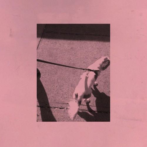Dogbite