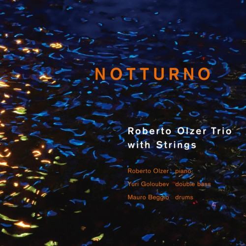 Roberto Olzer trio
