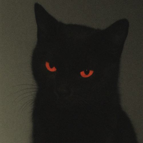 DEADLUVE