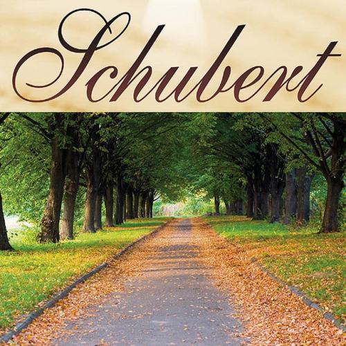 The Royal Schubert Orchestra