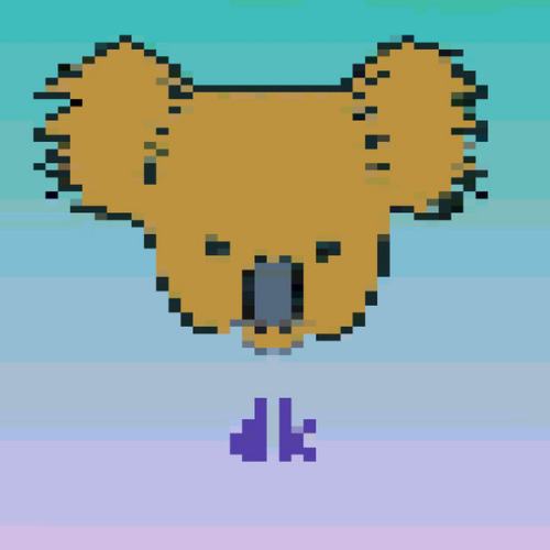 Decisive Koala
