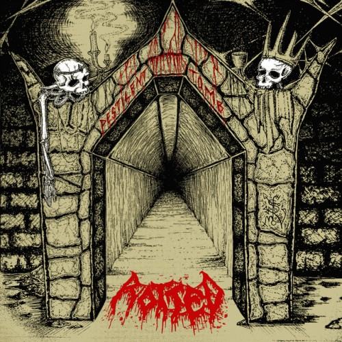 Rotted