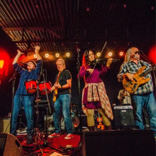 The Ozark Mountain Daredevils