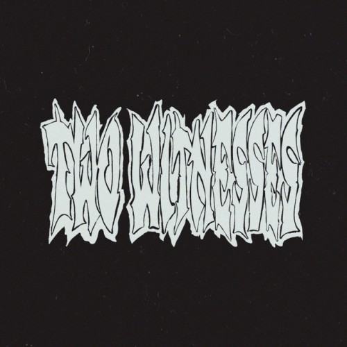 Two Witnesses