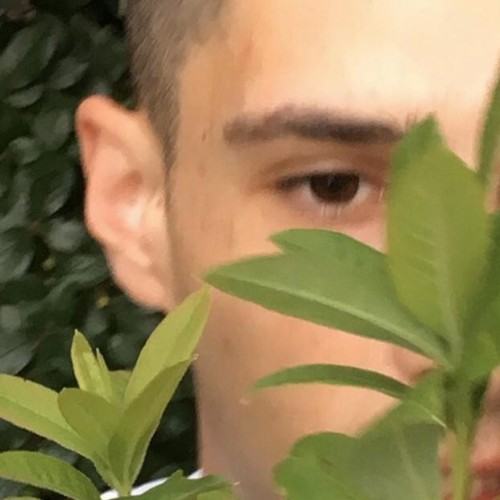 Malik Vadheim