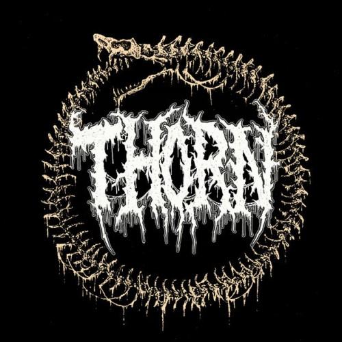 Thorn
