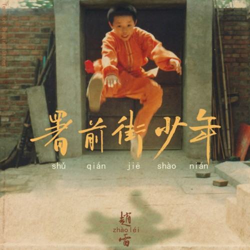 Zhao Lei