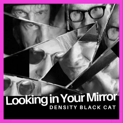 Density Black Cat