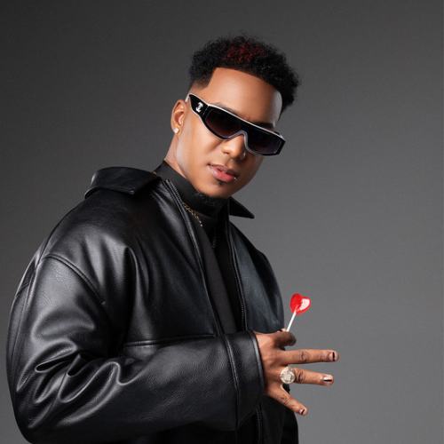Wilo D New