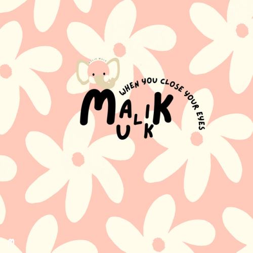 Malik Mulk
