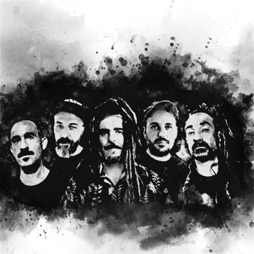 Train To Roots