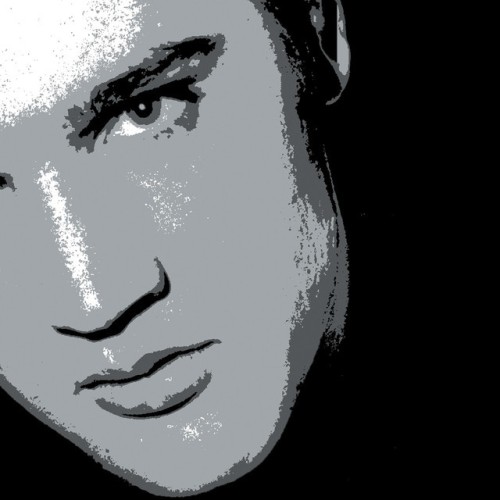 Elvis vs. Spankox