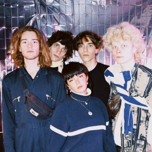 The Pink Lemons