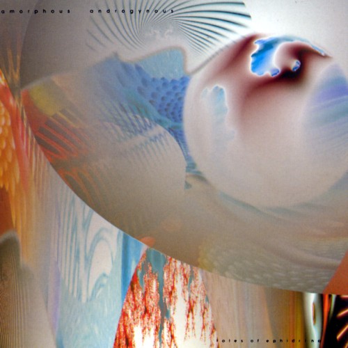 Amorphous Androgynous
