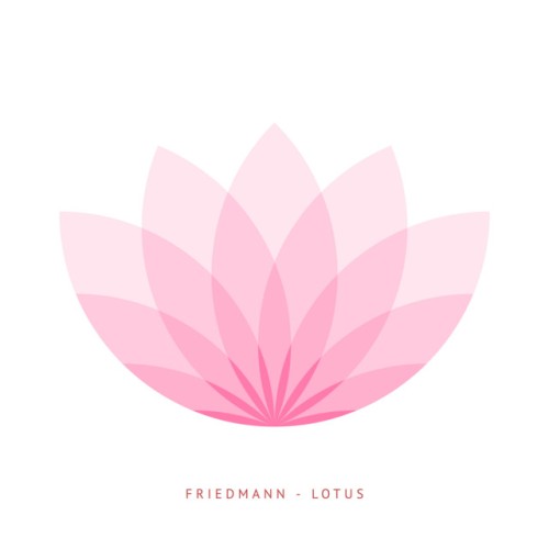 Friedmann