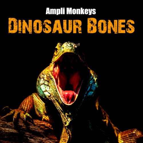 Ampli Monkeys