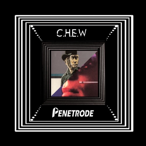 Penetrode