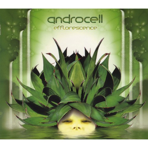 Androcell