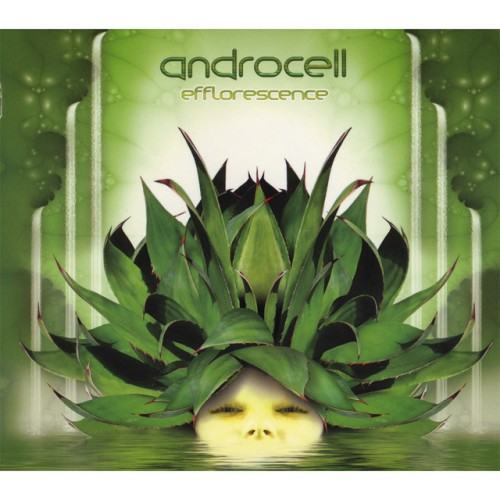 Androcell
