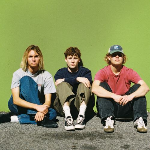 Fool Nelson