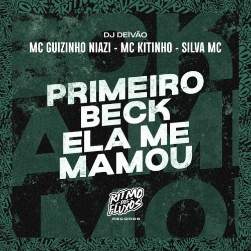 Mc guizinho niazi