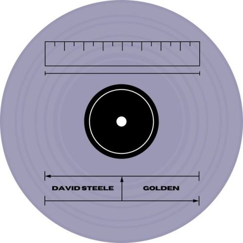 David Steele