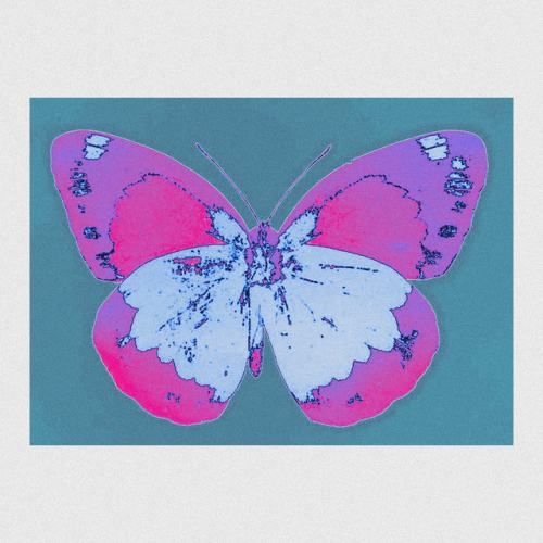 Butterfly Forest
