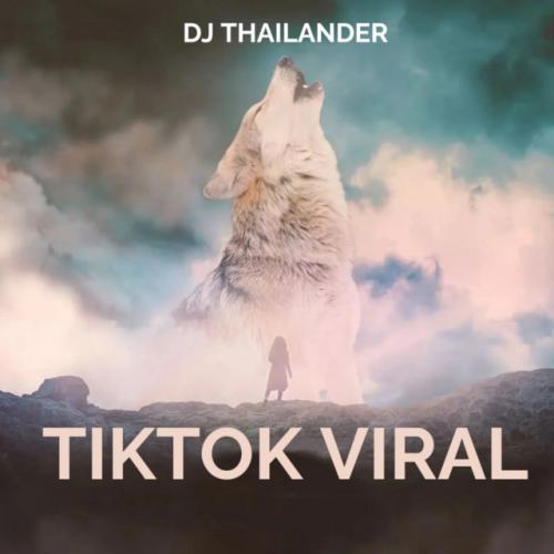 Dj Thailander