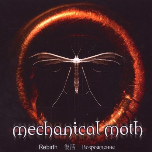 Mechanical Moth