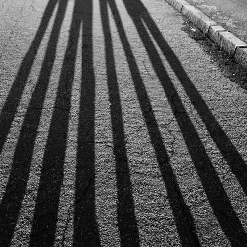 Ash Day