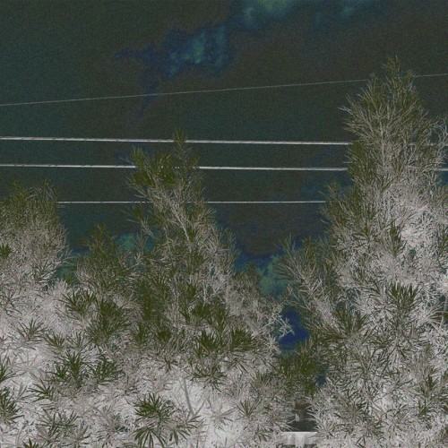 ghostsocial