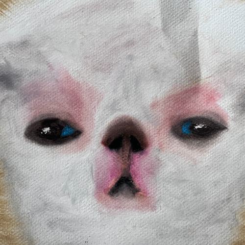 frogurt